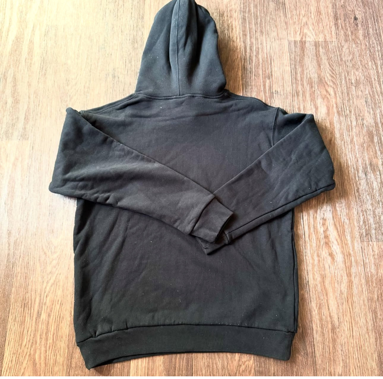 Gucci X The North Face Hoodie